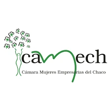 Camech